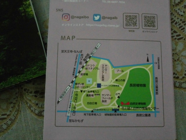 長居公園 桜 植物園