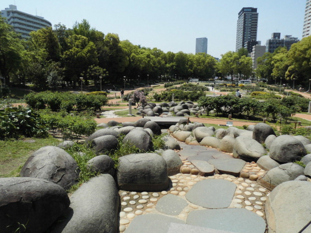 バラ園 靭公園 見頃