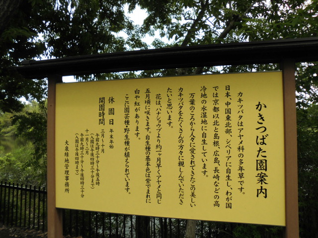 かきつばた園 大泉緑地公園 写真