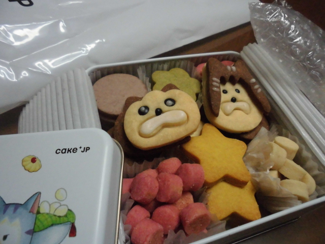 ホワイトデー 2026 メロとタビ クッキー缶