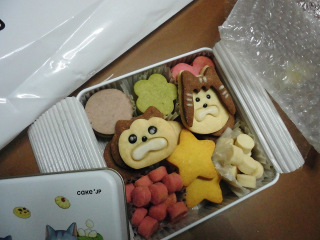 ホワイトデー 2026 メロとタビ クッキー缶