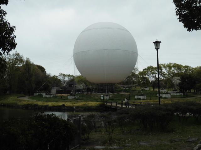 大仙公園 気球 桜